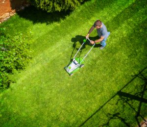 Mowing-the-lawn-shutterstock_1375441370-300x259